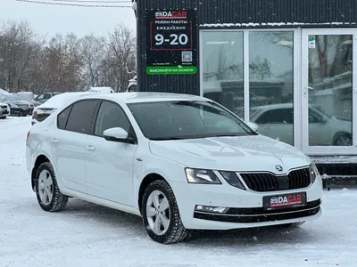 Skoda Octavia 2019 С пробегом - фото 1