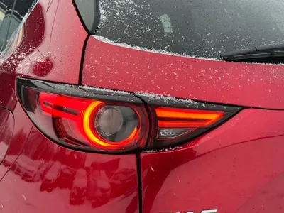 Ещё фотографии