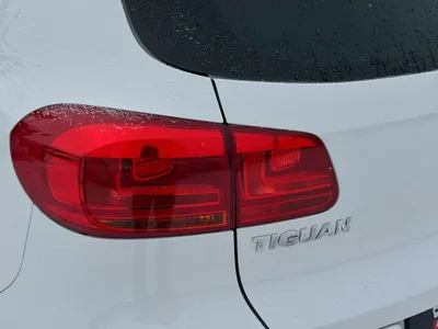 Ещё фотографии